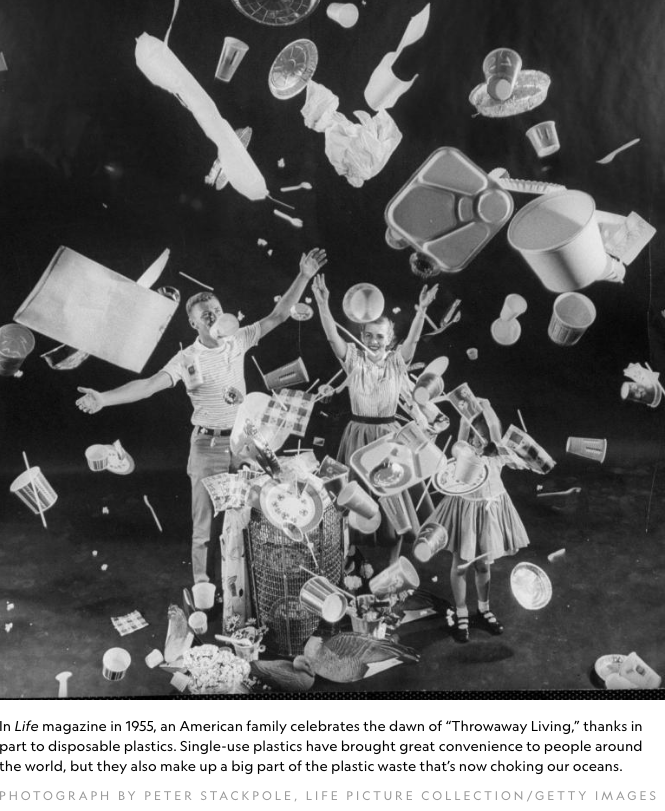 Screen Shot 2018-08-31 at 3.45.19 PM.png